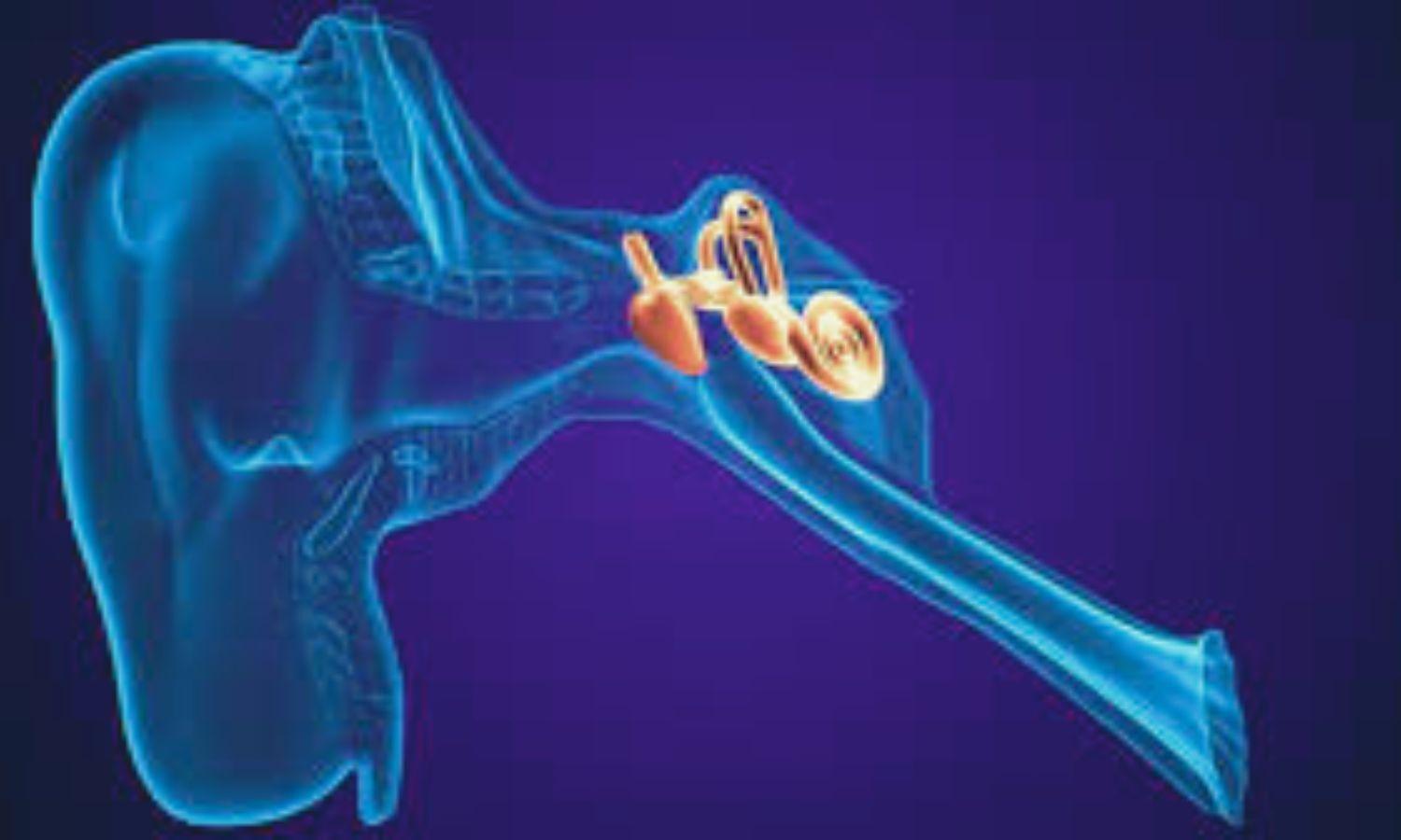 Cochlear-Sparing IMRT Significantly Reduces Hearing Loss in Cancer Patients, Suggests Study