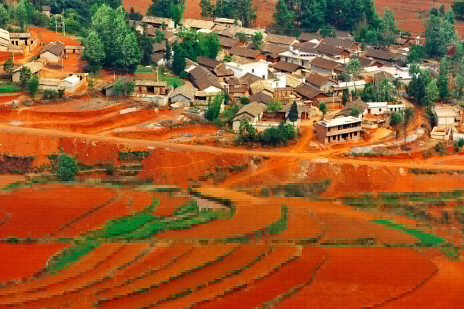 Comment on E-Commerce Trade Of Agricultural Goods Over $16 Billion US In 2014: State Media by E-Commerce Trade Of Agricultural Goods Over $16 Billion US In 2014: State Media - Kungpao.tv