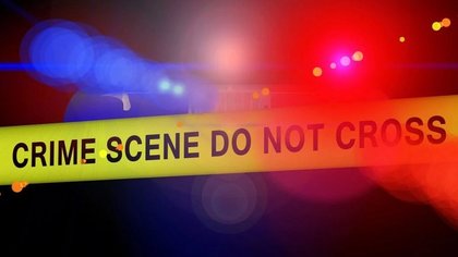 Florida Shocker: Angry Over Neighbour Feeding His Pet Peacocks, Man Kills and Eats Birds in US