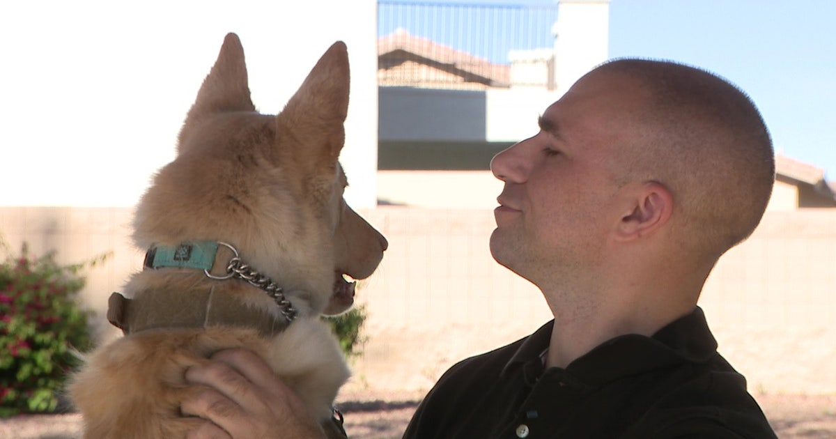 AI helps Surprise man reunite with his missing dog
