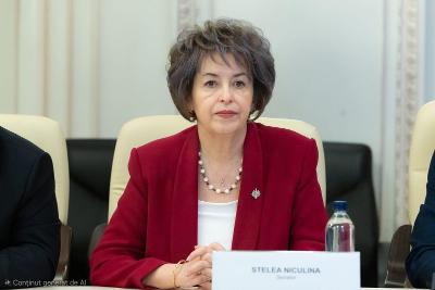 Niculina Stelea: ‘Ilie Bolojan se crede Nicolae Ceaușescu’