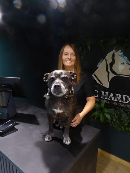 New premium dog grooming parlour opening at garden centre near Stourbridge