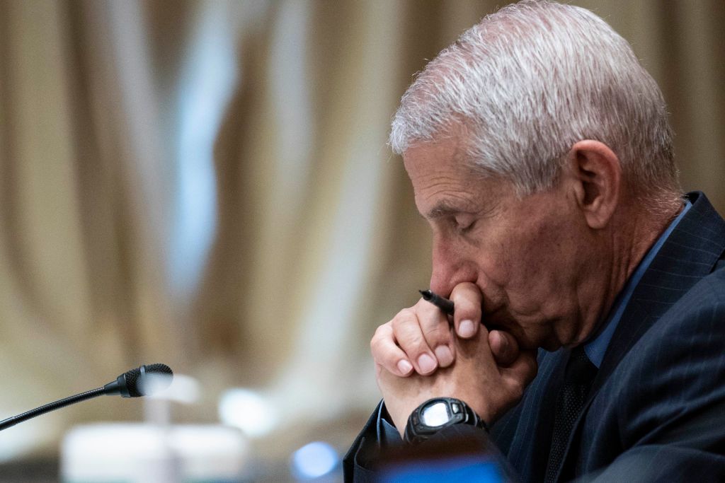 Fauci Emails Revive Questions Over Lockdown Dissent