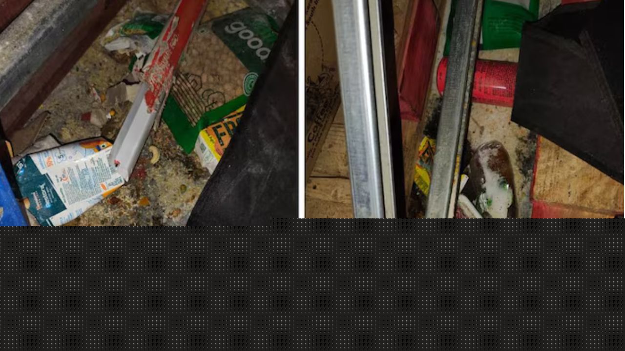 Zepto Warehouse Horror Exposed! ‘Extremely Unhygienic’ Conditions Found During Bengaluru Raid