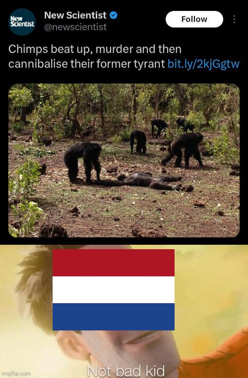 History Memes - Monkey see monkey do | History Memes