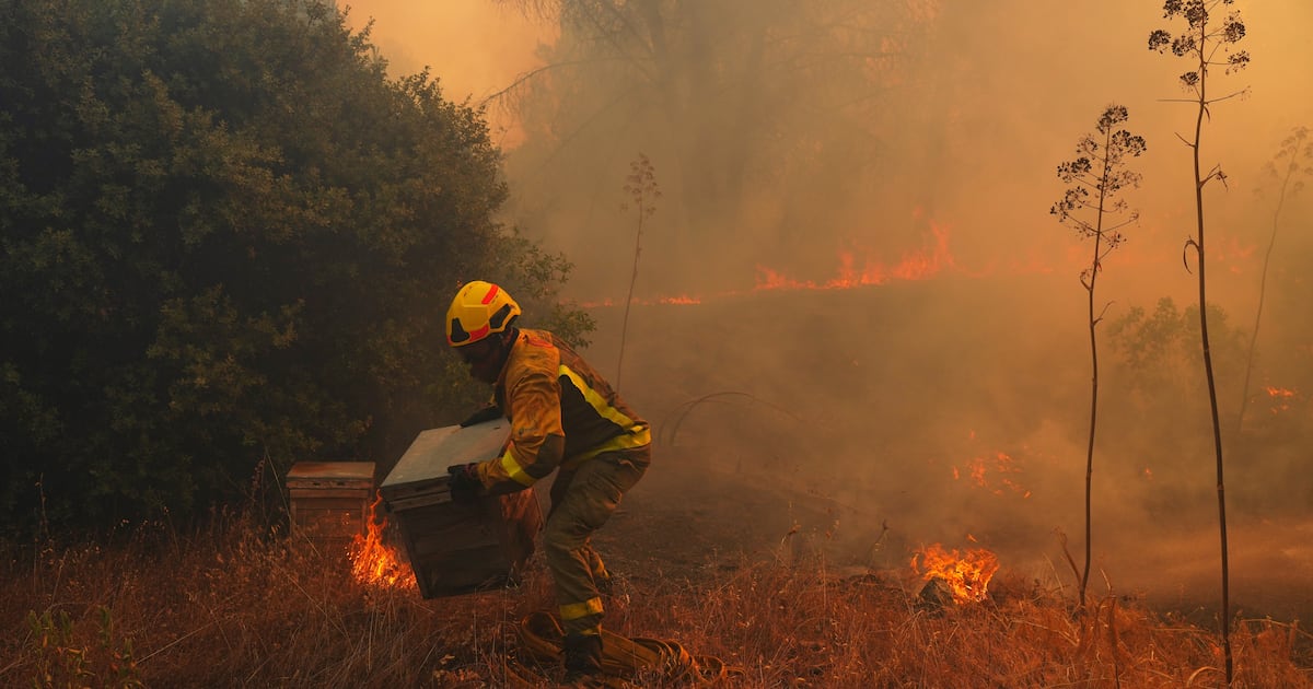 UN warns that strong El Nino will add fuel to ‘a planet already on fire’