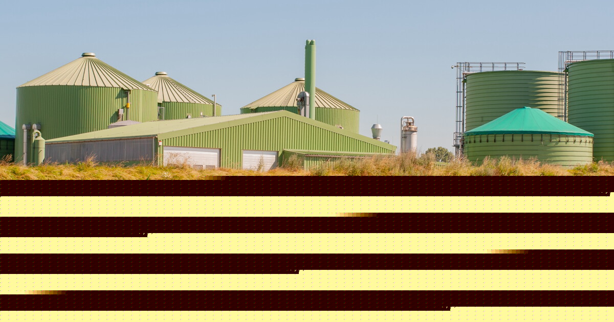 India Hopes $2.5B Biogas Scheme Helps Cut LNG Imports
