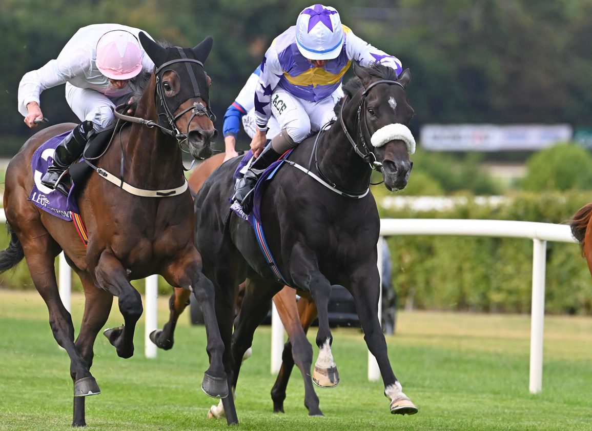Breeders’ Cup Turf Hero Ethical Diamond Back in the Winning Groove at Leopardstown