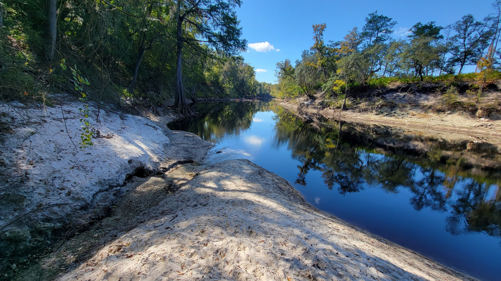 Between Jacksonville And Tallahassee Is Florida's Underrated Park With Hiking And Serene River Views
