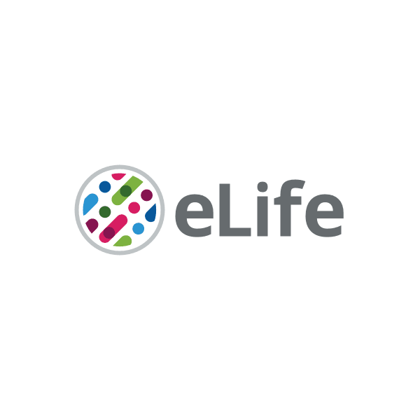 Optogenetic stimulation of single ganglion cells in the living primate fovea
