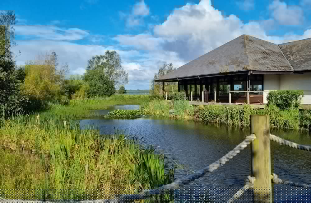 Oxford Island – once rated as the second most visited tourist site in NI – but café closed twice a week