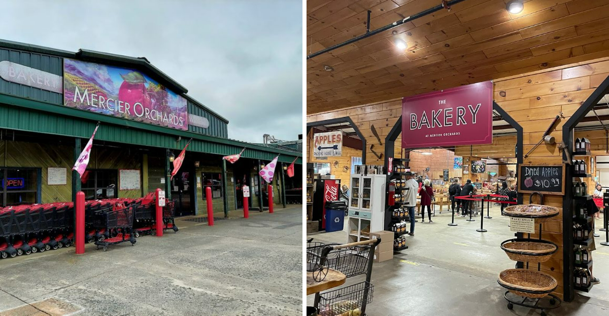 This Charming Bakery In Georgia Has Fried Pies So Delicious, They’re Worth The Drive