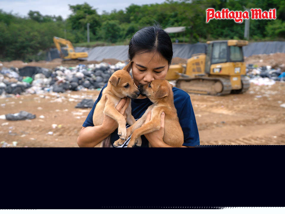 Soi Dog Foundation tackles stray dog crisis at Chachoengsao landfill