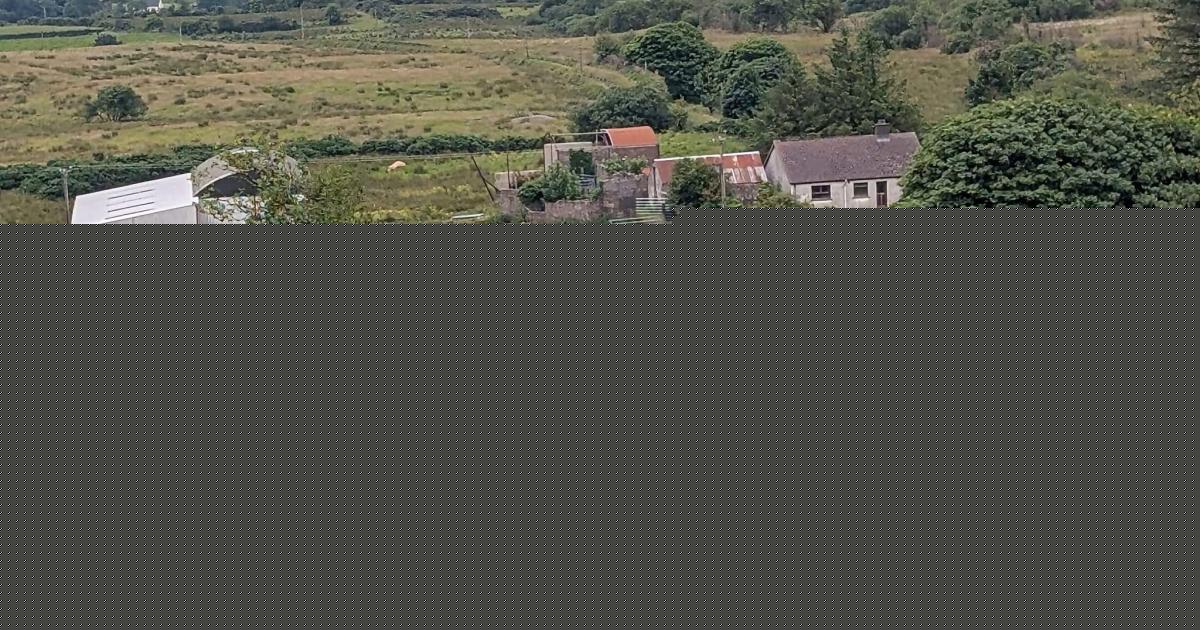 PSNI clarify status of firearms used in Fivemiletown cattle cull