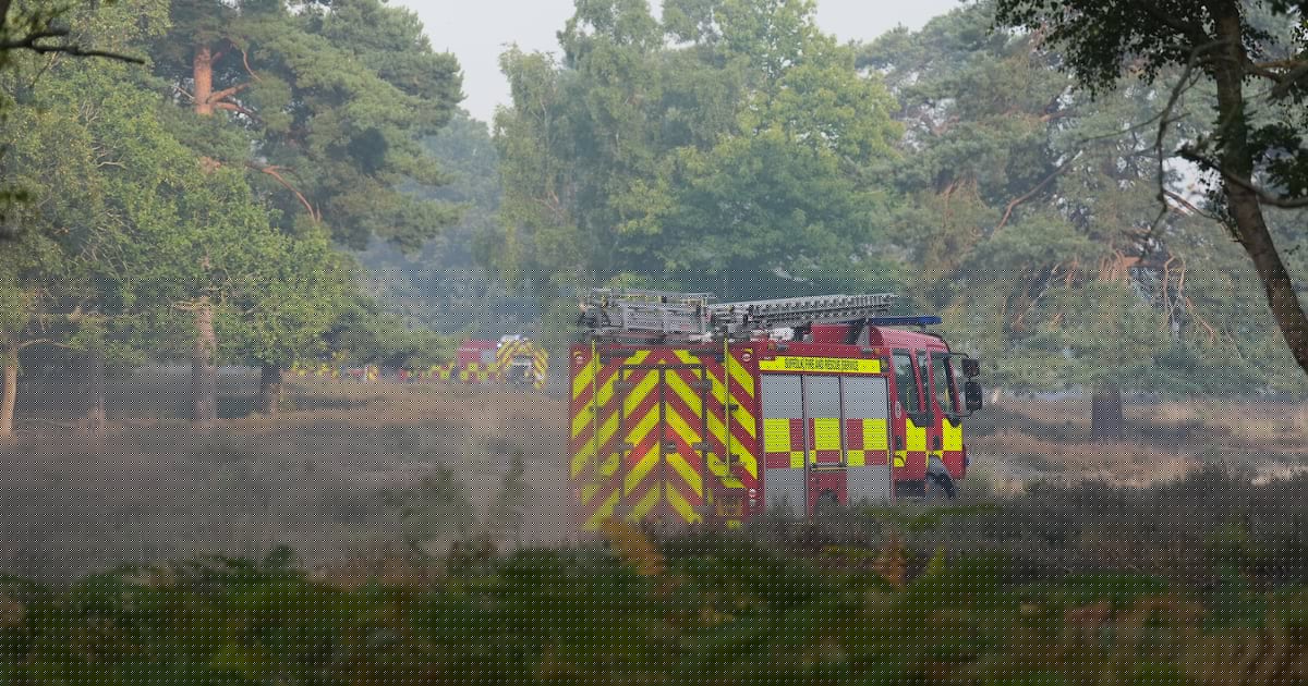 Wildfire on Suffolk coast near nuclear power station ‘stabilised’