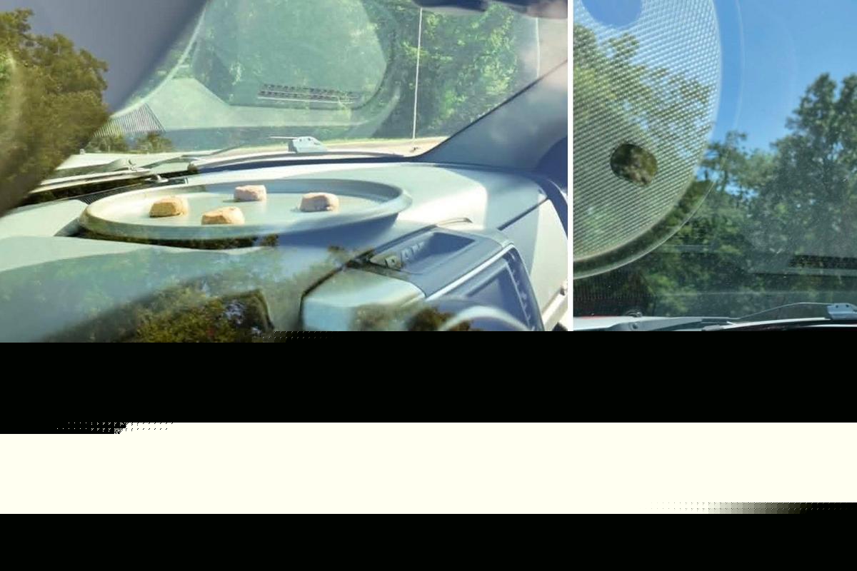 It’s So Hot in Louisiana That Truck Dashboards Are Ovens
