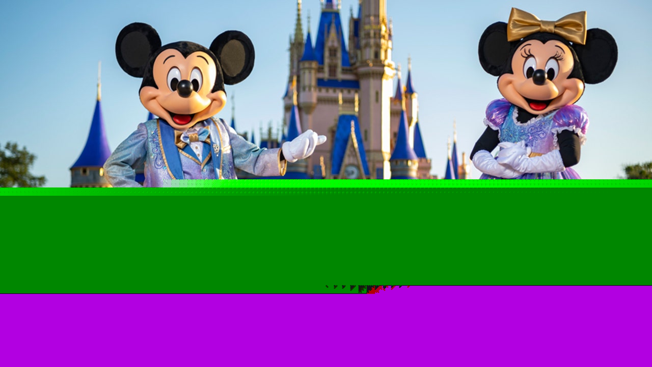 Disney World trip leaves Florida dad stunned after $1,400 price tag for day at theme park