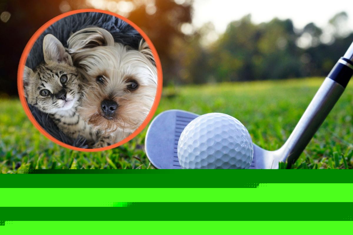 Play Golf for Texarkana Shelter Animals at Paws & Pars Event