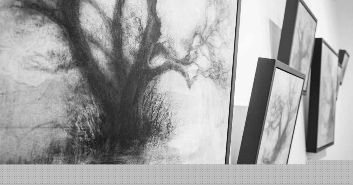 Word Up - I visited three art exhibitions in Salisbury, here's what I thought