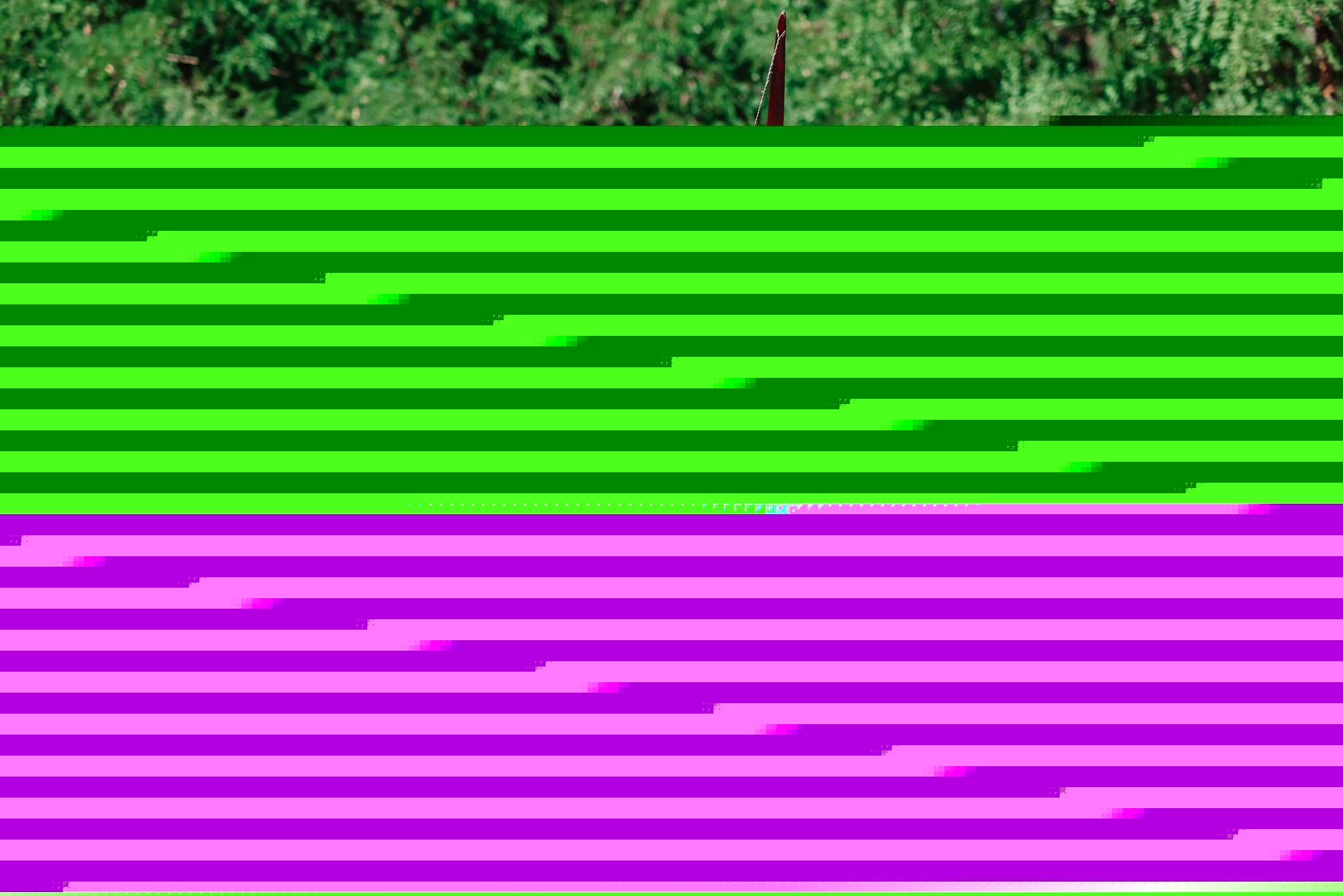 Targeting “Bigfoot of the Flinthills”