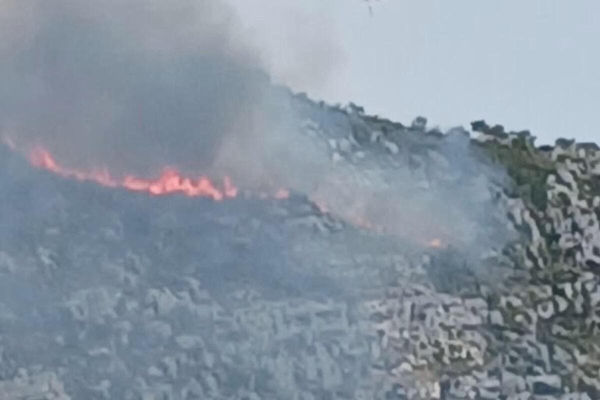 Sur les hauteurs de Grasse, la foudre provoque un incendie : le feu parcourt 4.000 m2 avant d’être fixé ce jeudi matin