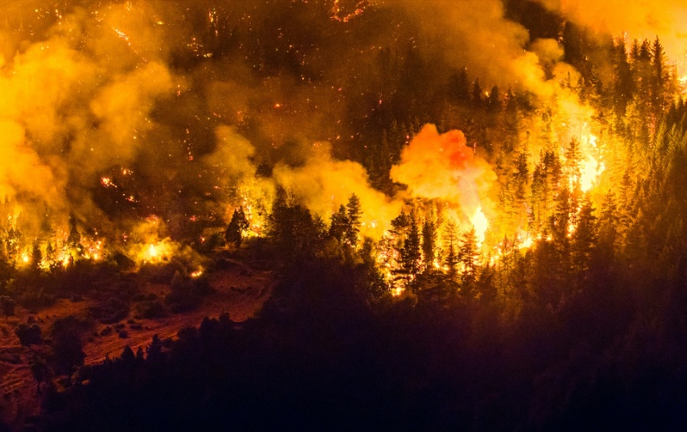 Argentina declares emergency over Patagonia wildfires