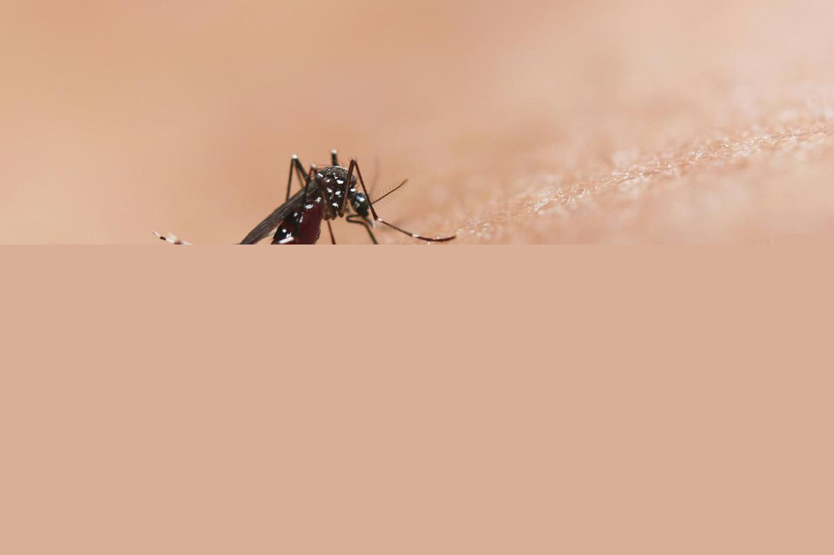 ALERT:  West Nile Virus Detected Near Twin Falls