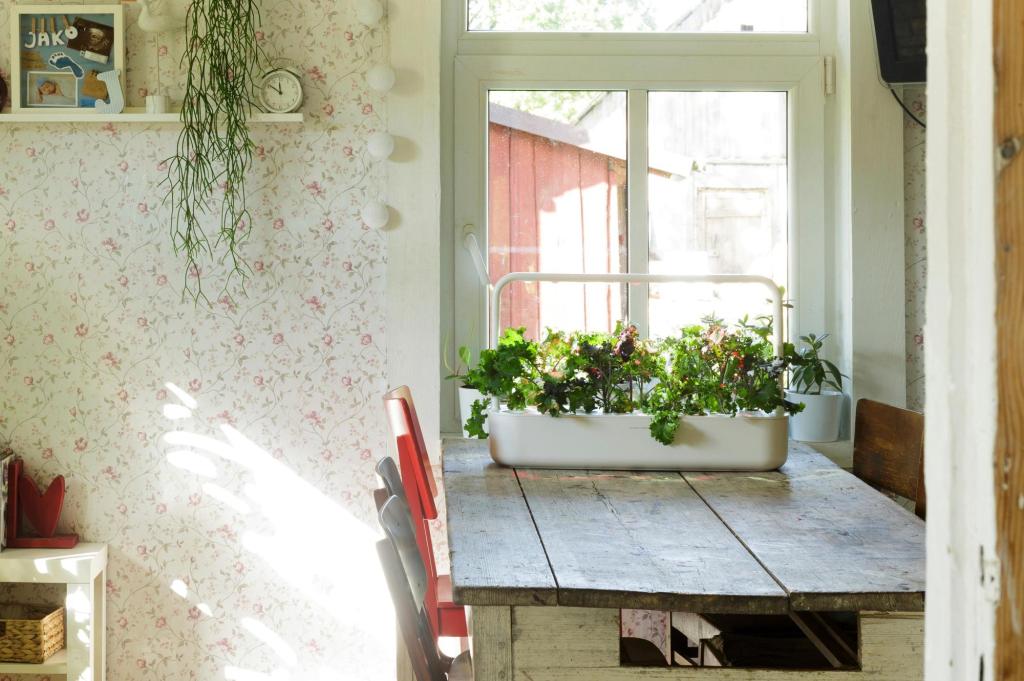 How to use tech in the garden and still keep your serenity