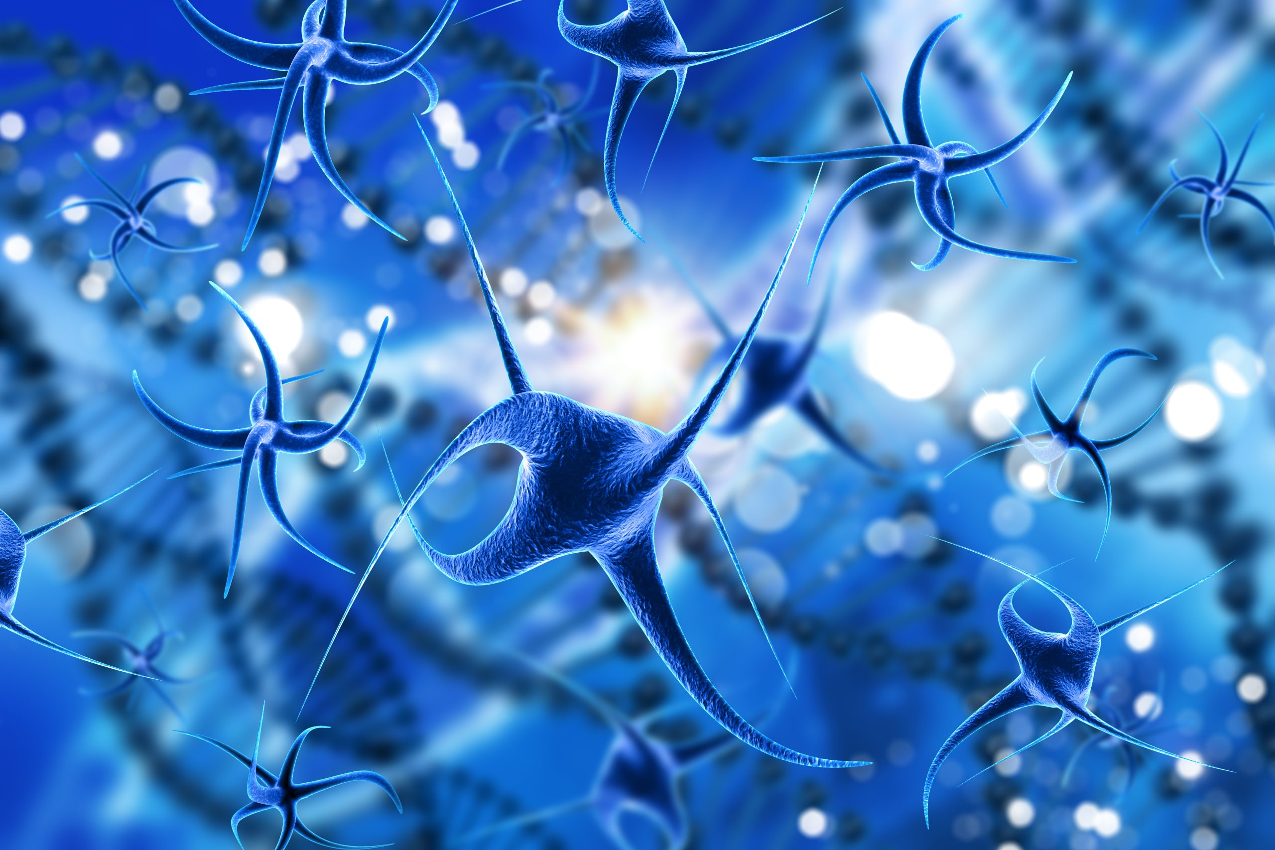 Oxytocin: Molecular Signaling, Network Modulation, and Emerging Research