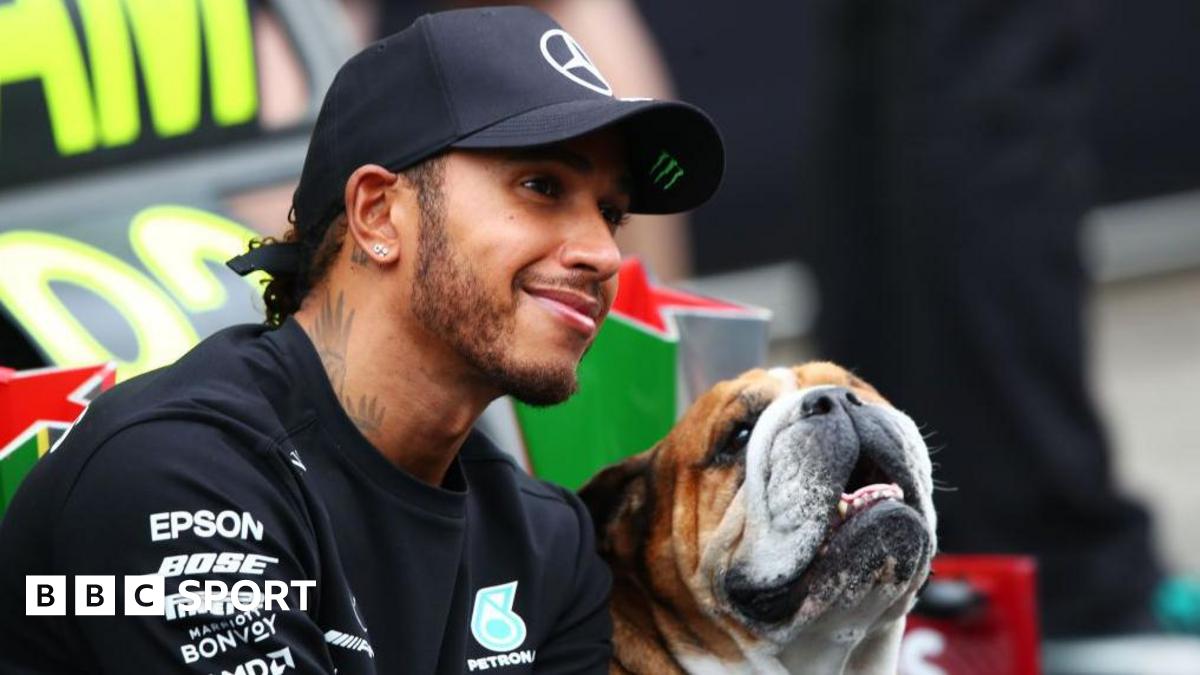 Hamilton pays tribute after his dog Roscoe dies