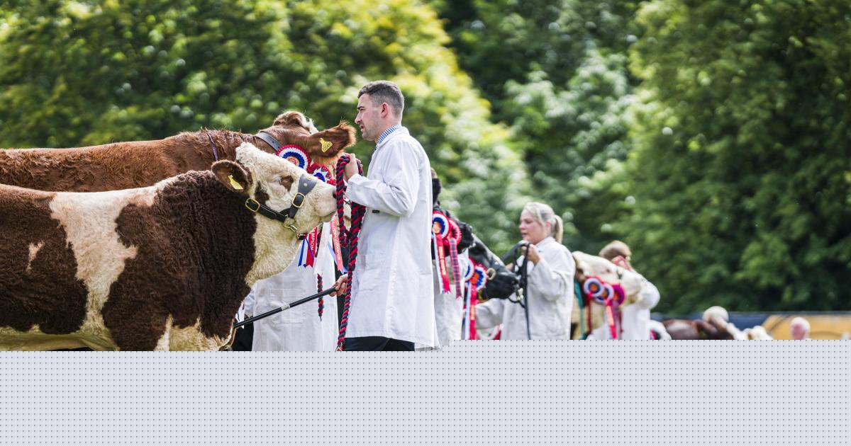 Turriff Show to move permanently to weekend format