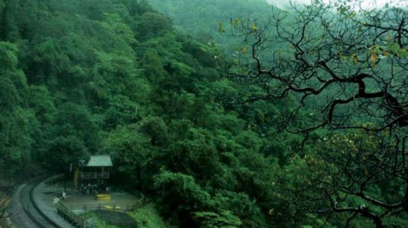 Adilabad DFO Says Kolams Building Houses in Reserve Forest Land