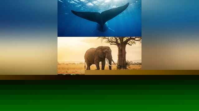 Enormous Animals You Won't Believe Actually Exist