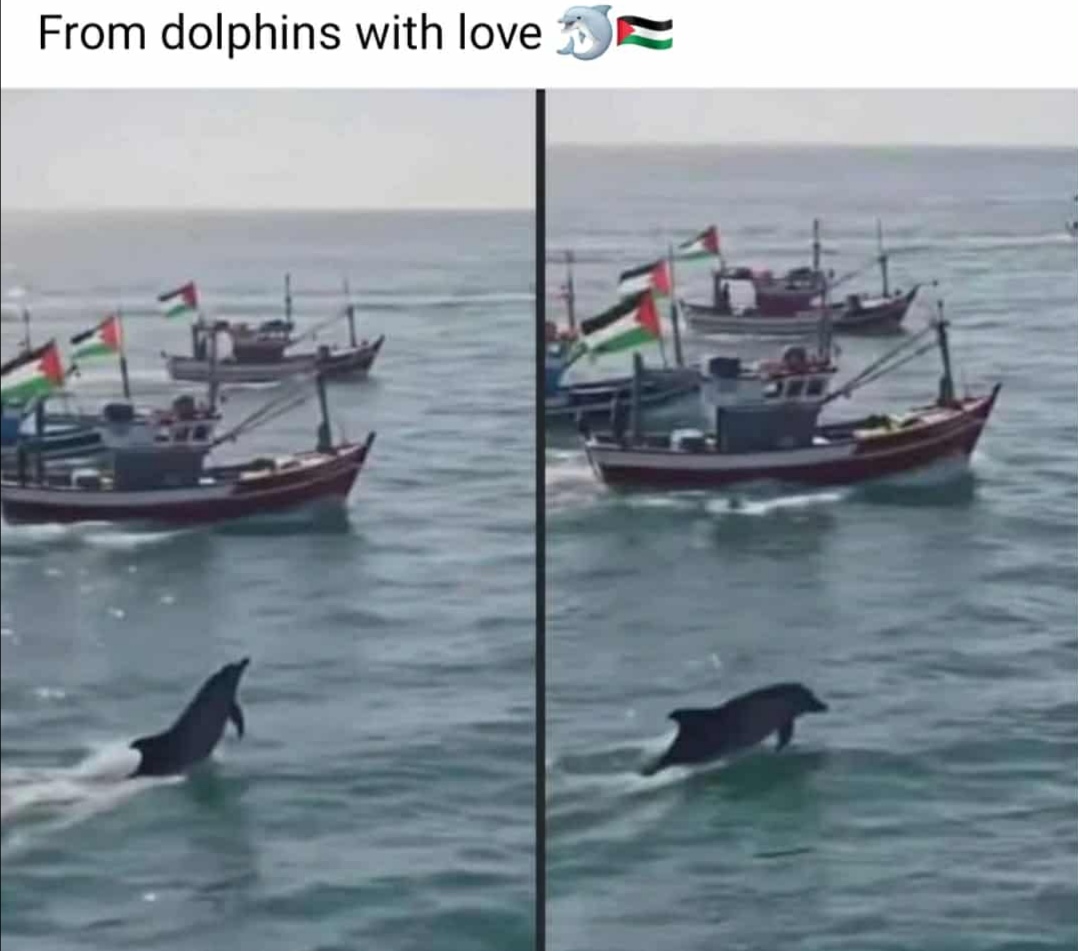 Flotilla nella zona ad alto rischio: anche pugliesi a bordo. Attivista: siamo stati intercettati Israele, prossima azione per bloccare gli attivisti: "ci prepariamo a venire intercettati". Comune di Conversano: delibera per proporre il premio Nobel della pace ai bambini di Gaza