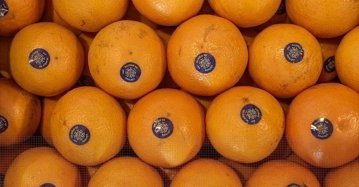 Algarve Citrus Targets European Growth Through Quality And Provenance