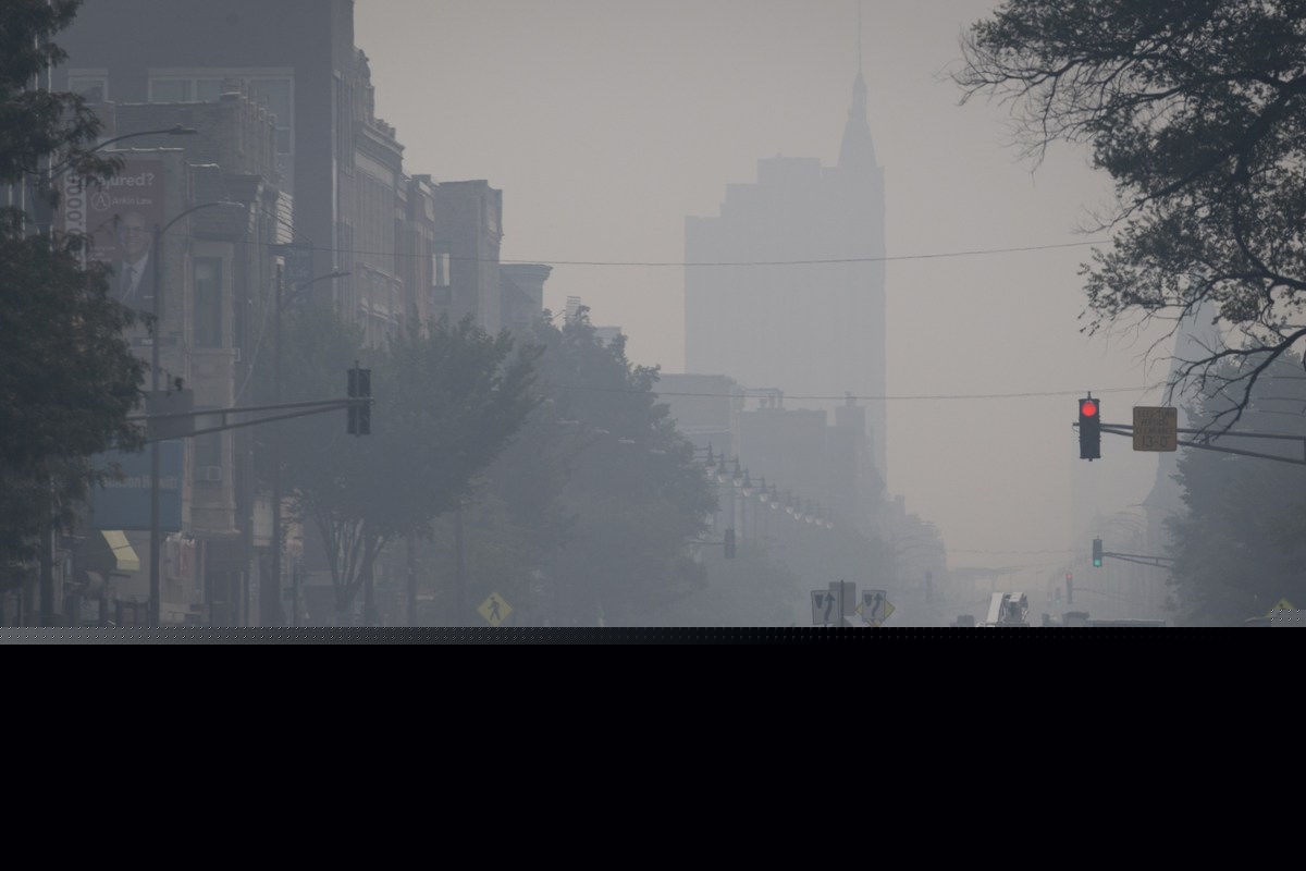5 Air Quality Apps To Download Now and Protect Your Health