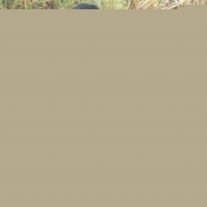 - Les vendeuses de bière dans les deuils au Cameroun