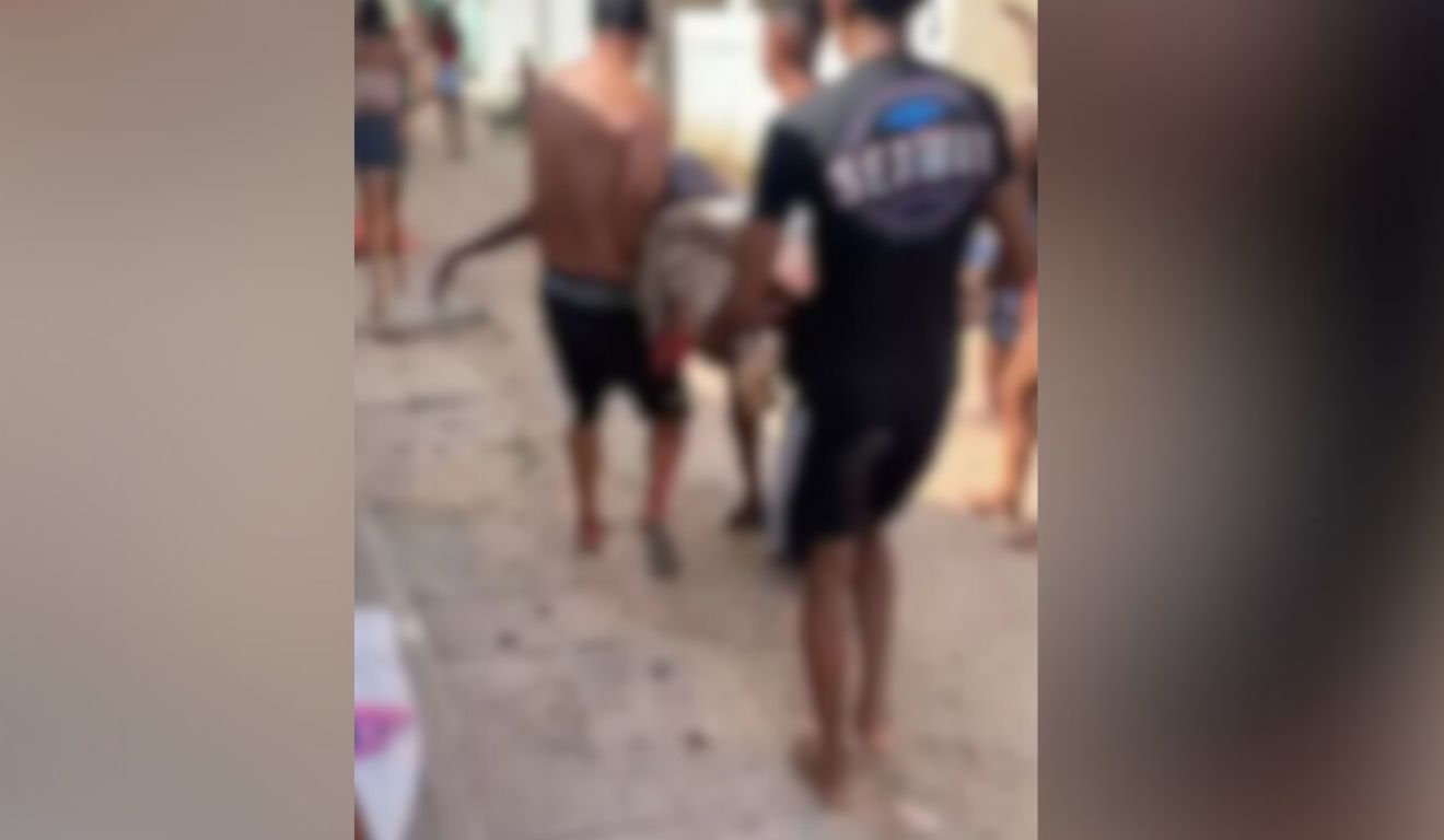 Adolescente de 13 anos morre após ser atacado por tubarão
