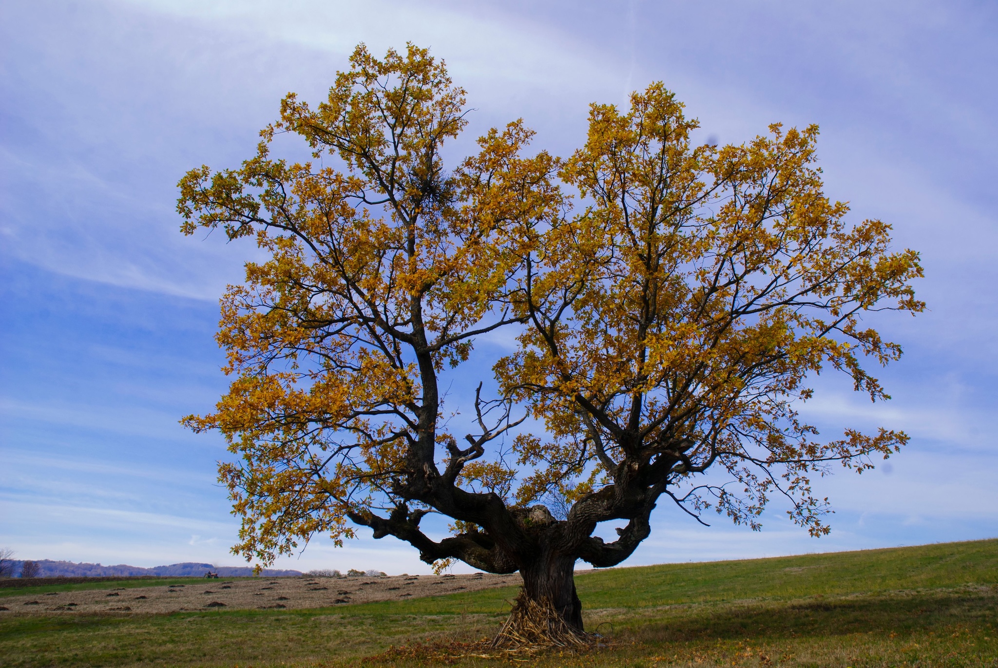 Abrahamic Loyalty: Faithfulness Fulfilled