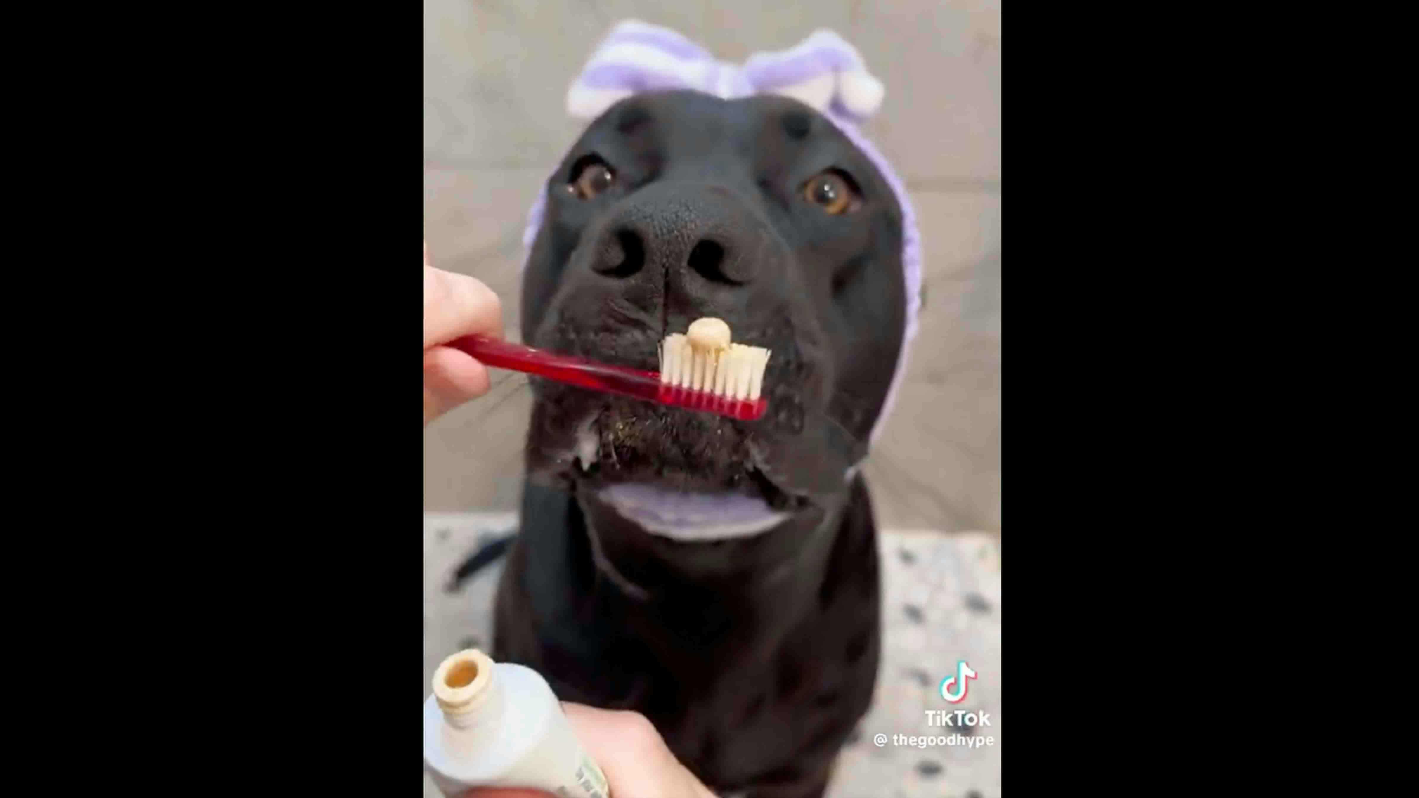Daily Smile: Tuesday, September 23, 2025