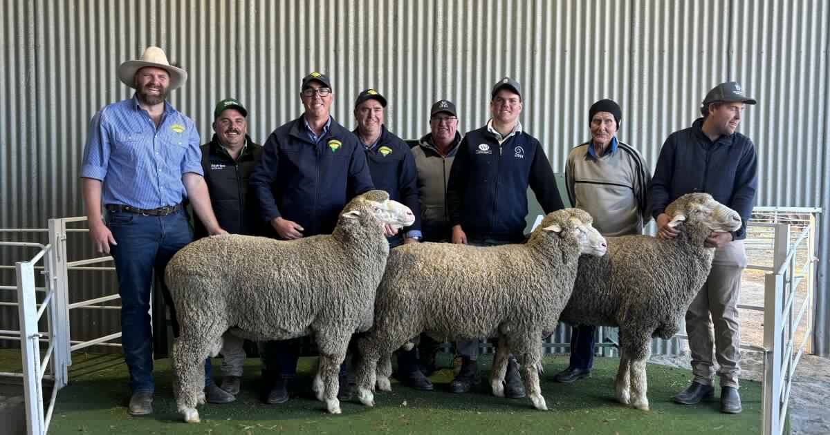 Brimanna achieves stronger clearance and average as confidence returns