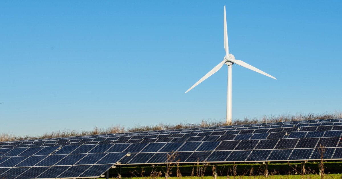 Wyoming, Montana attorneys general accuse big tech companies of greenwashing