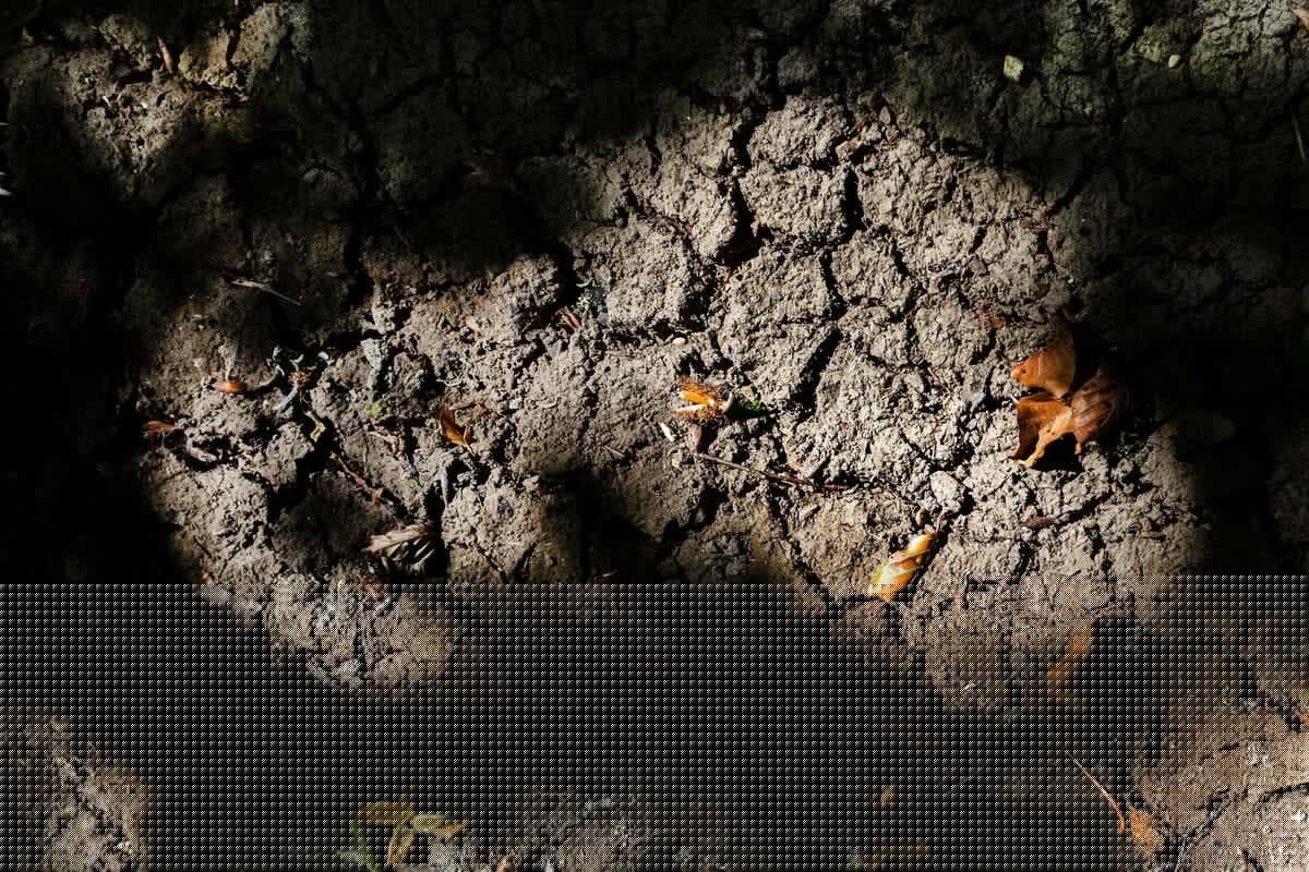 78 départements en alerte canicule, 62 millions de personnes sous restriction d’eau : les fortes chaleurs s’étendent ce mercredi, la sécheresse au cœur d’une réunion ministérielle
