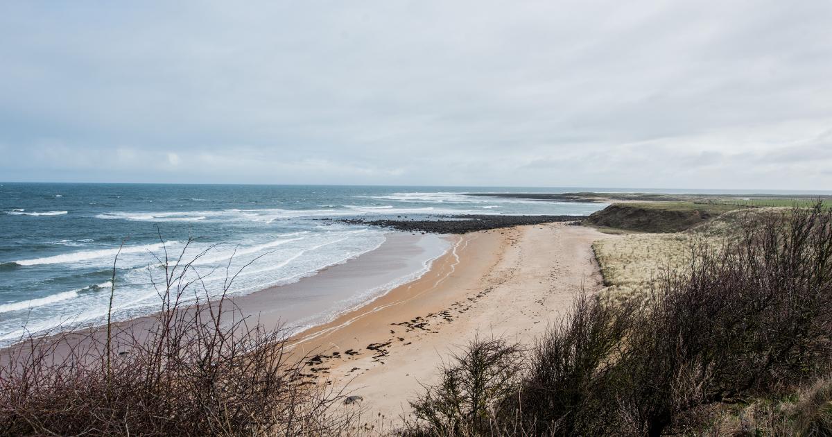 'Secluded and beautiful' Northumberland beach that rarely gets crowded