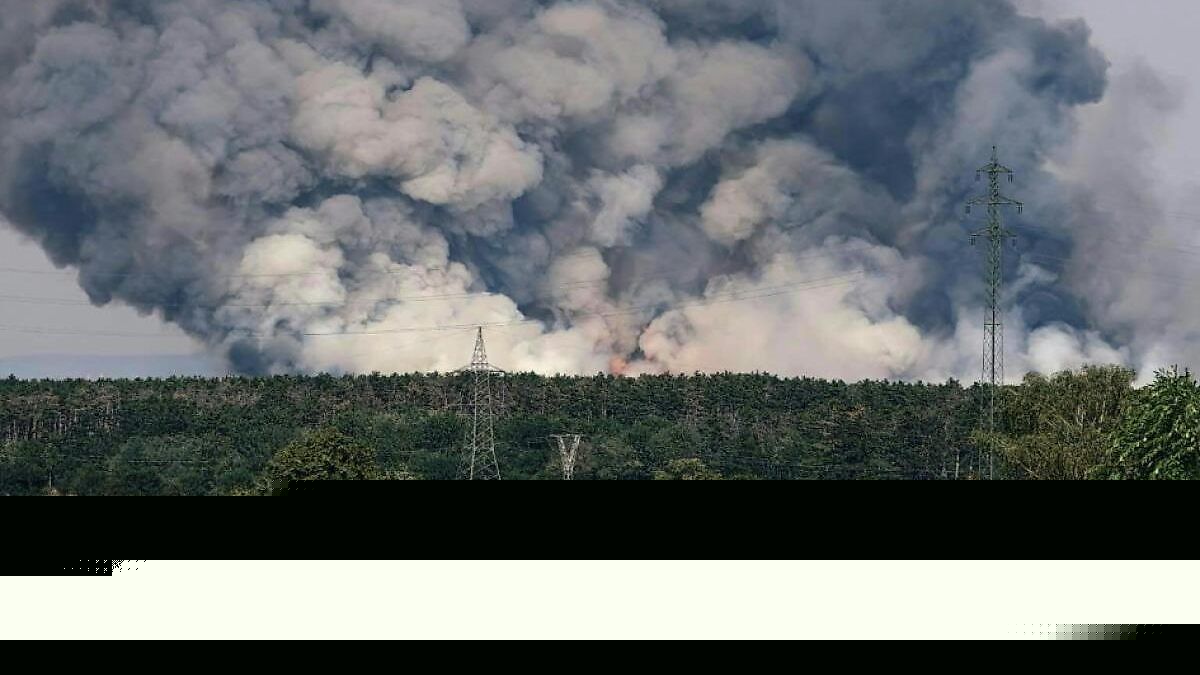 Forscher: "Waldbrände sind ein Ausdruck des Klimawandels"