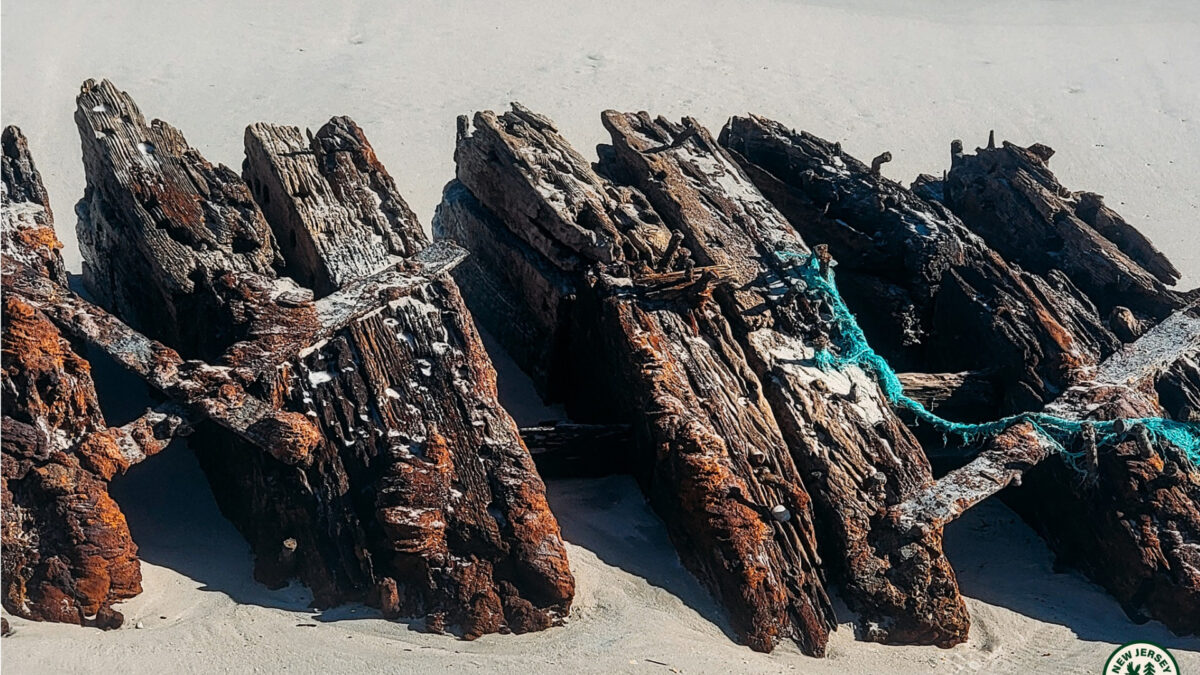 143-Year-Old Shipwreck Emerges on a New Jersey Beach