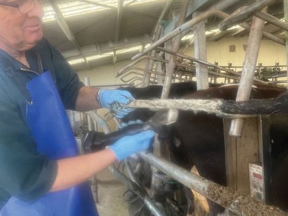 Rurtec launches Lanati Astron cord-free handpiece for sheep and dairy farmers
