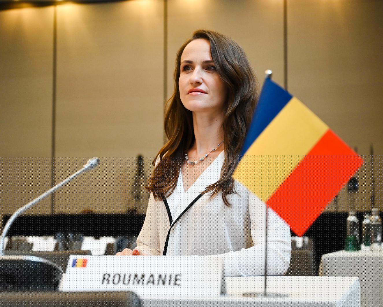 Oana Țoiu: Disprețul Rusiei față de dreptul internațional și suveranitatea statelor este evident și intolerabil