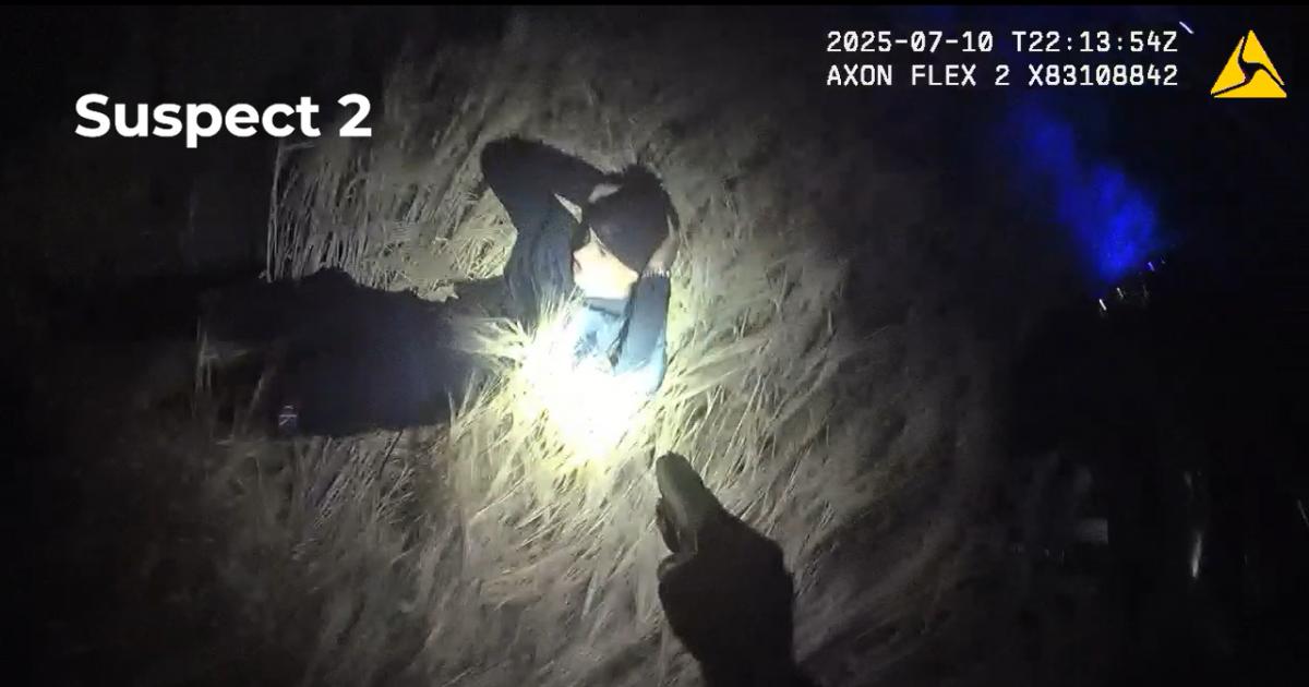 Bodycam footage shows moment armed police arrest machete thugs after Essex attack