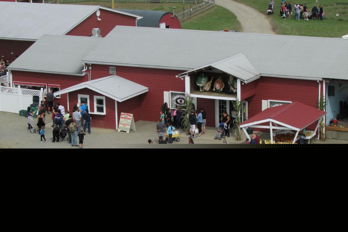 Vandals Target Popular Hudson Valley Orchard